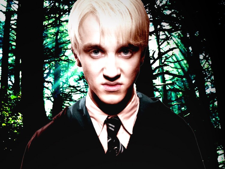 draco in the order of the phoenix